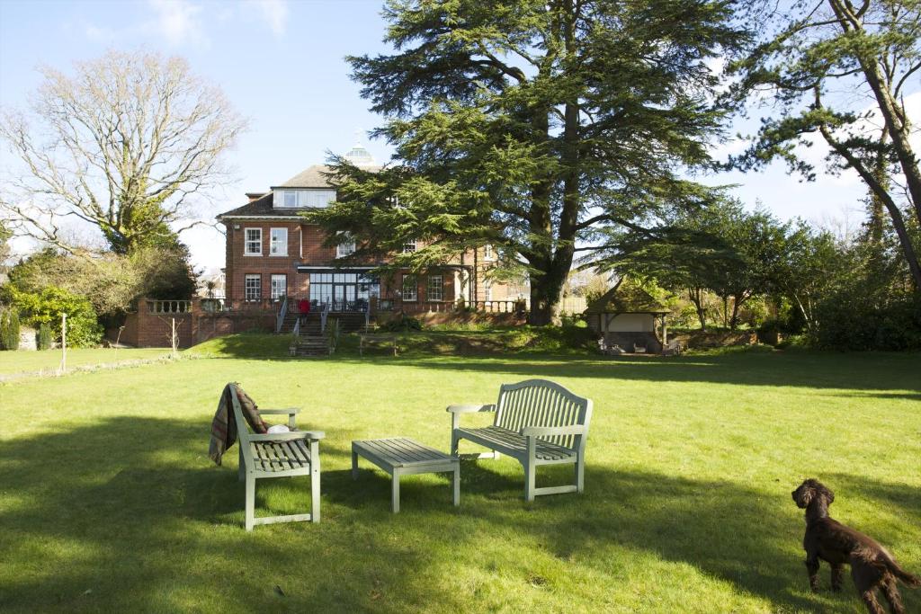 2 Stühle und ein Tisch im Hof mit einem Hund in der Unterkunft The Manor at Sway – Hotel, Restaurant and Gardens in Sway