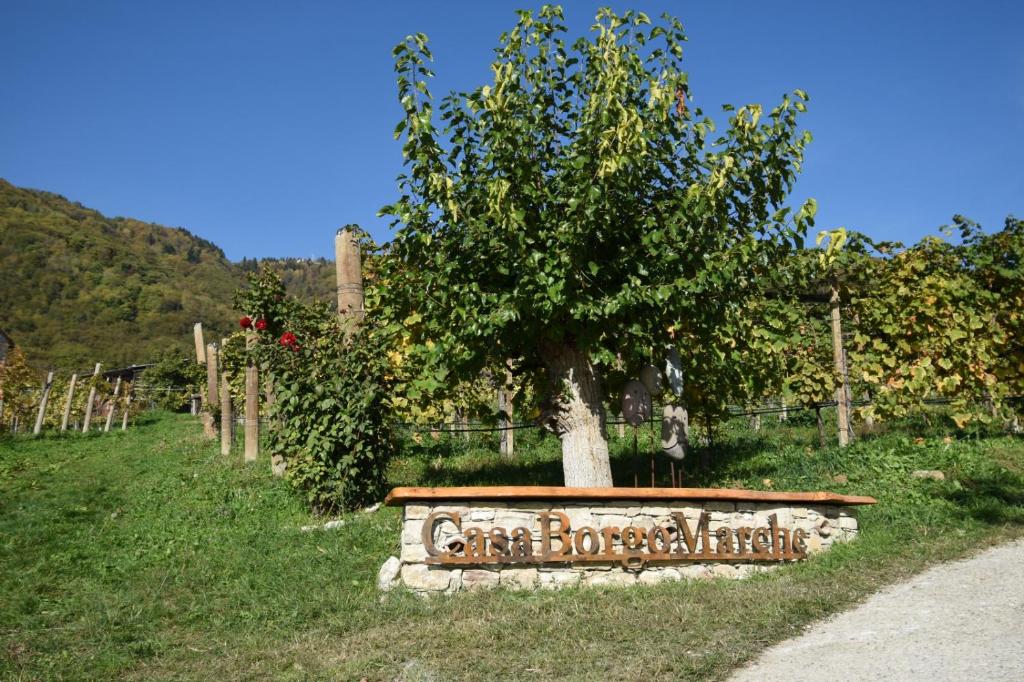 a stone bench with a tree in a vineyard at Agriturismo Casaborgomarche in Valdobbiadene