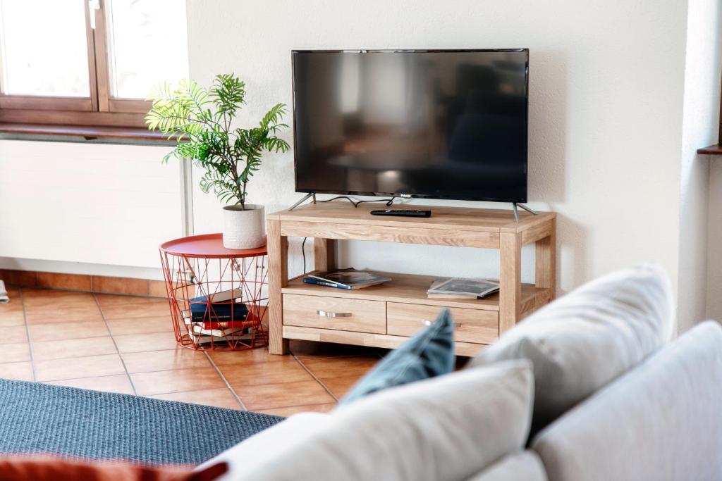 TV a/nebo společenská místnost v ubytování Lilia Apartment by Quokka 360 - large flat with panoramic view of Locarno