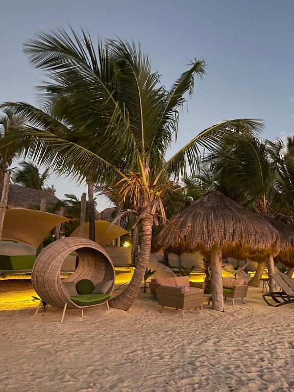 Fotografie z fotogalerie ubytování Sueños Tulum v destinaci Tulum