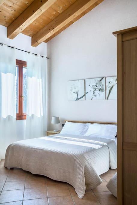 Agriturismo Ai Carpini - 13