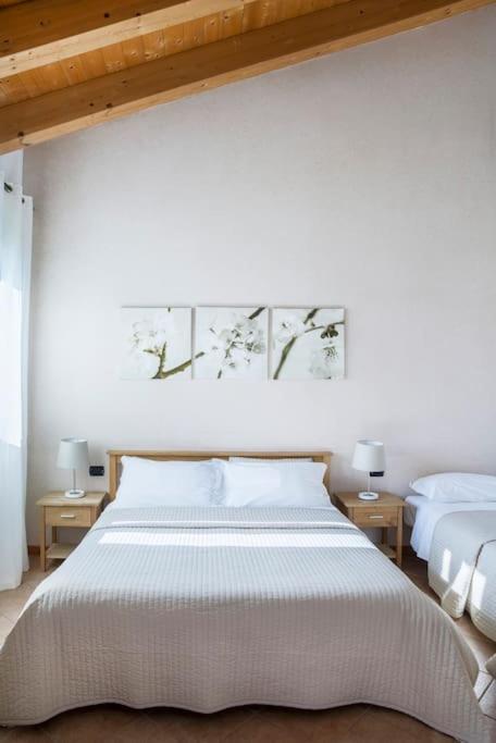 Agriturismo Ai Carpini - 6