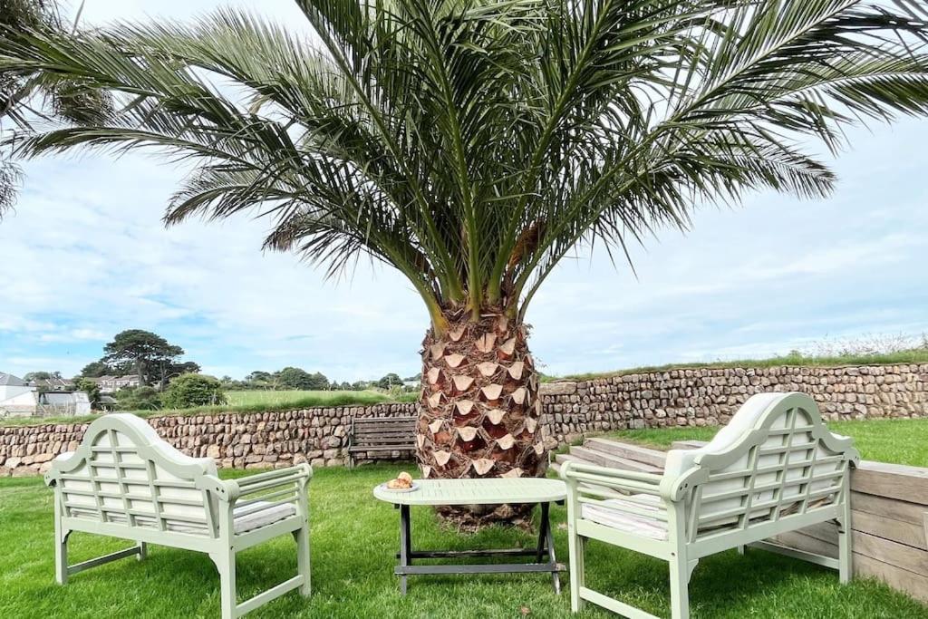 two white benches sitting next to a palm tree at Spacious Bungalow Serene Garden and Parking Sleeps 6 in Newlyn