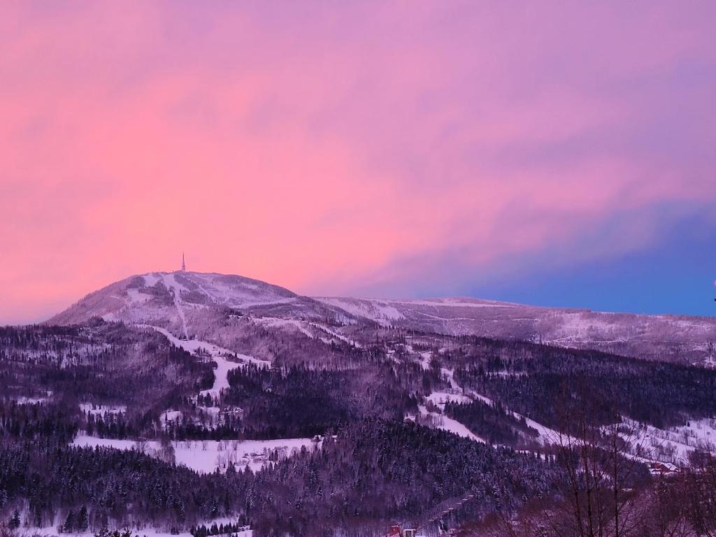 Willa Orle Gniazdo - 7