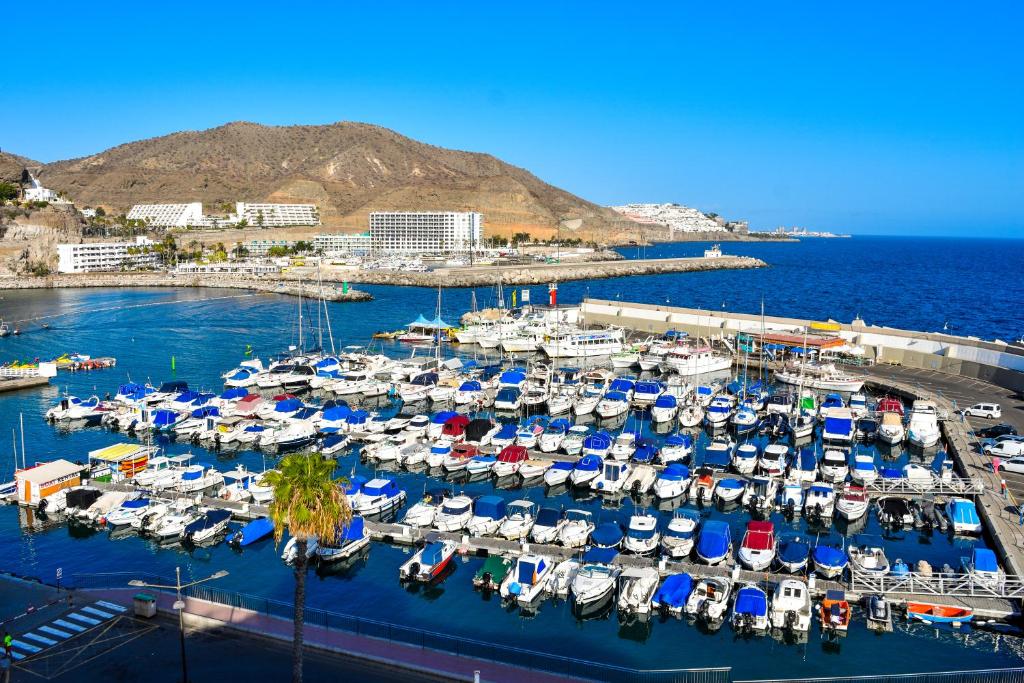 z powietrza widok na przystań z łodziami w wodzie w obiekcie Malibu apartamento con campo de tennis y piscina con solarium w mieście Puerto Rico de Gran Canaria