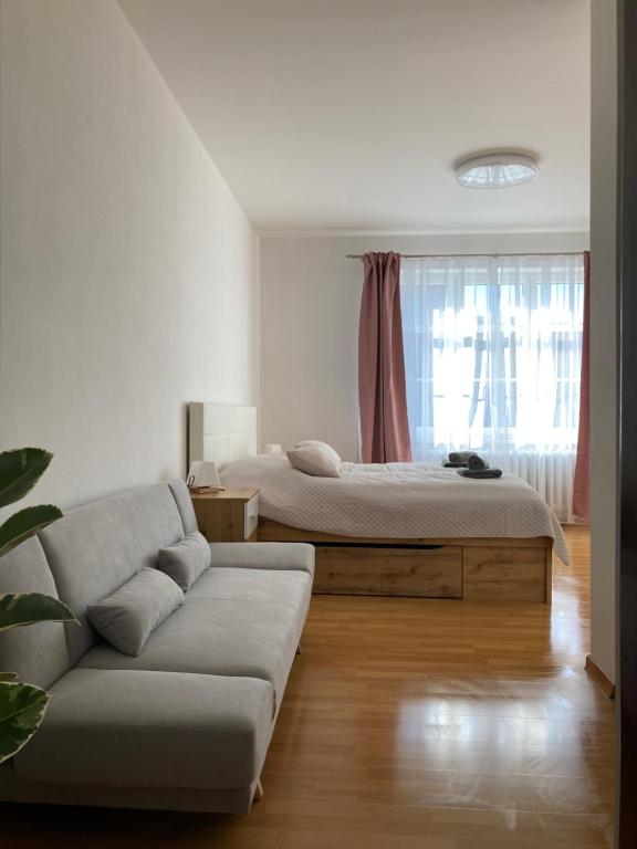 Apartmán Monika في Kraslice: غرفة معيشة مع سرير وأريكة
