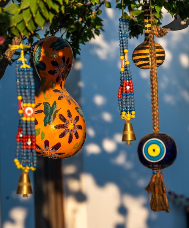 Fotografie z fotogalerie ubytování Loya Vita Hotel v destinaci Dalyan
