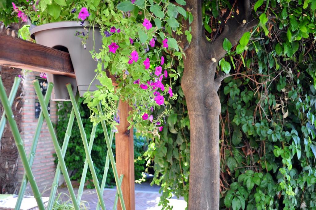 Hotel Oasis - Resim 25