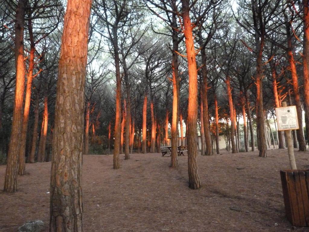Fotografia z galérie ubytovania Albergo La Lampara v destinácii Marina di Cecina