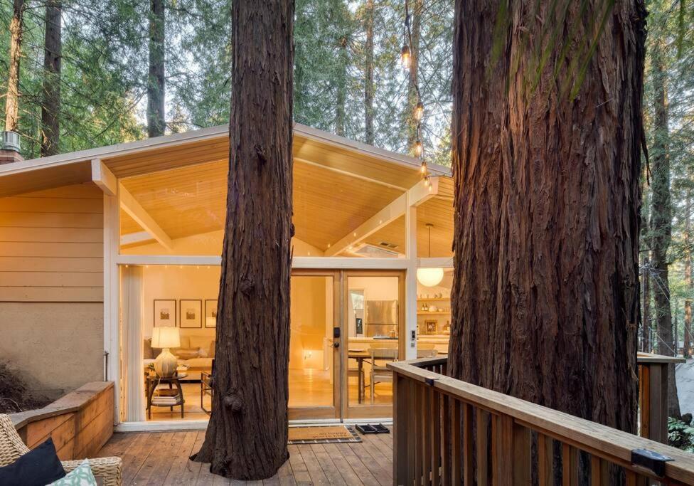 uma casa na floresta com duas árvores em Window to the Redwoods - Near Downtown MV, Dipsea Trail, & Muir Woods em Mill Valley