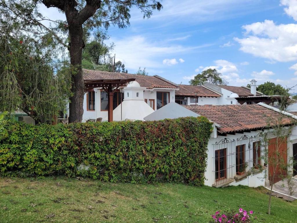 une maison blanche avec une haie devant elle dans l'établissement Amplia casa Antigua Guatemala con pérgola y jardín, à Antigua Guatemala