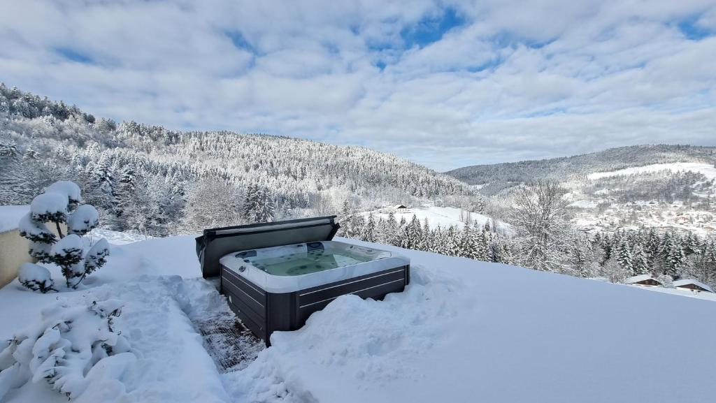 Chalet Terejo & spa v zimě