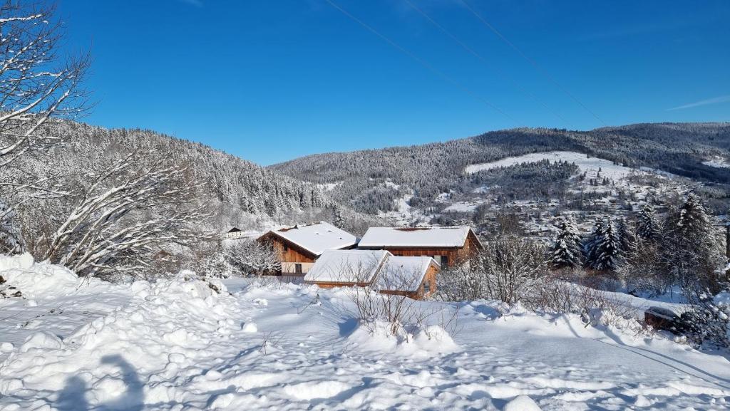 Chalet Terejo & spa v zimě