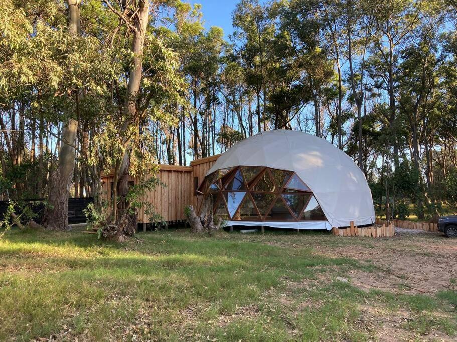 una tienda en un campo junto a algunos árboles en Domo en la playa, en Sauce de Portezuelo