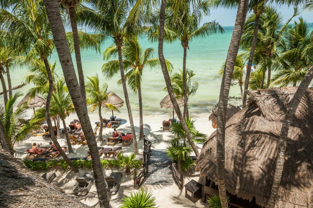 an aerial view of a beach with palm trees at Beachfront Hotel La Palapa - Adults Only in Holbox Island