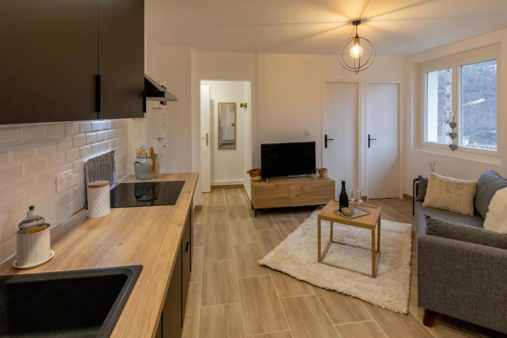 Televízia a/alebo spoločenská miestnosť v ubytovaní Les appartements de Clélia
