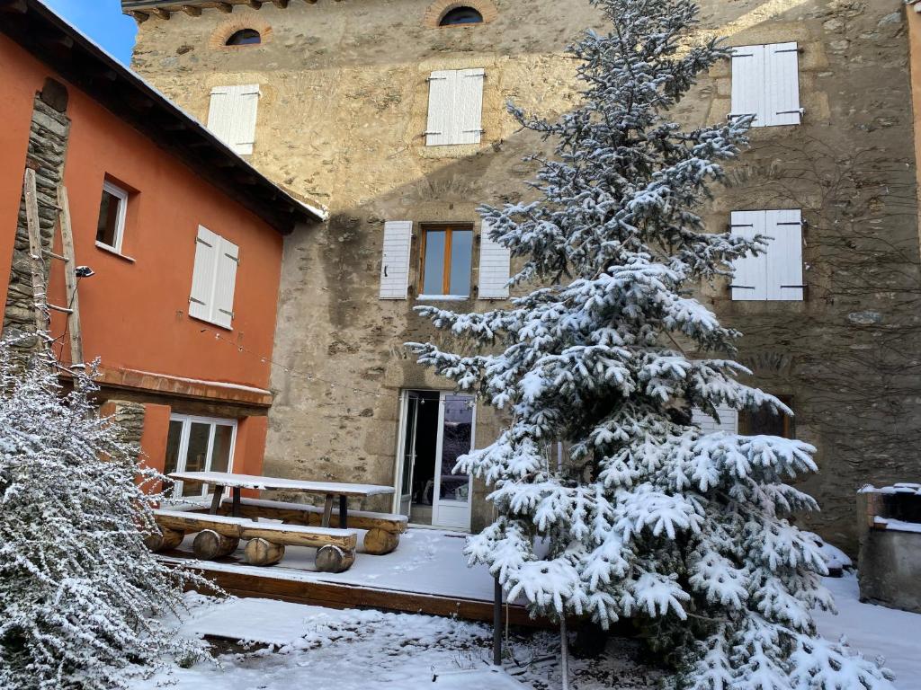 a snow covered tree in front of a building at LA VIEILLE FERME in Err