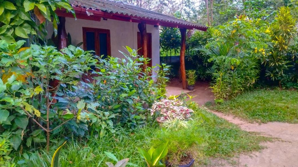 Zahrada ubytování Gangula Eco lodge