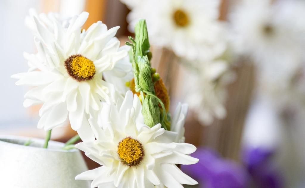 Hotel Herrmes - Resim 28