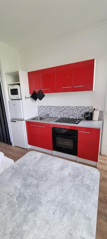 Kuchyňa alebo kuchynka v ubytovaní Vittel Studio neuf en Centre-ville idéal curiste