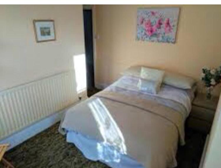 ein Schlafzimmer mit einem Bett in einem Zimmer in der Unterkunft Hendon Homestay in Hendon