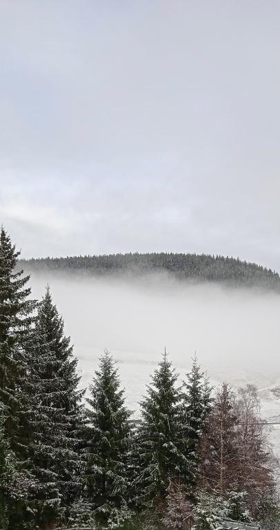 Příroda nedaleko penzionu