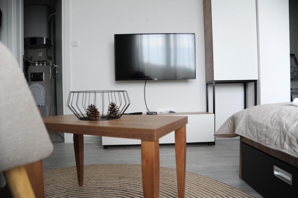 TV a/nebo společenská místnost v ubytování Sunny Woods Apartment