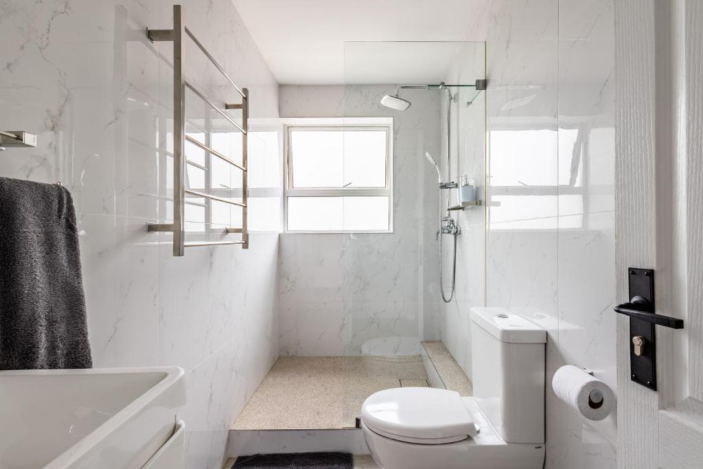 16 Laridae - Image 33