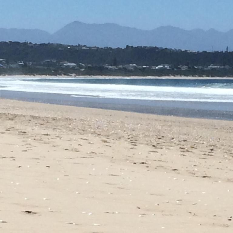 16 Laridae - Image 37