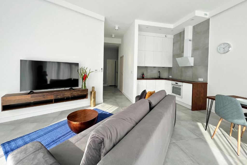 a living room with a gray couch and a television at SKi&bike apartments Laguna Zarzecze in Zarzecze