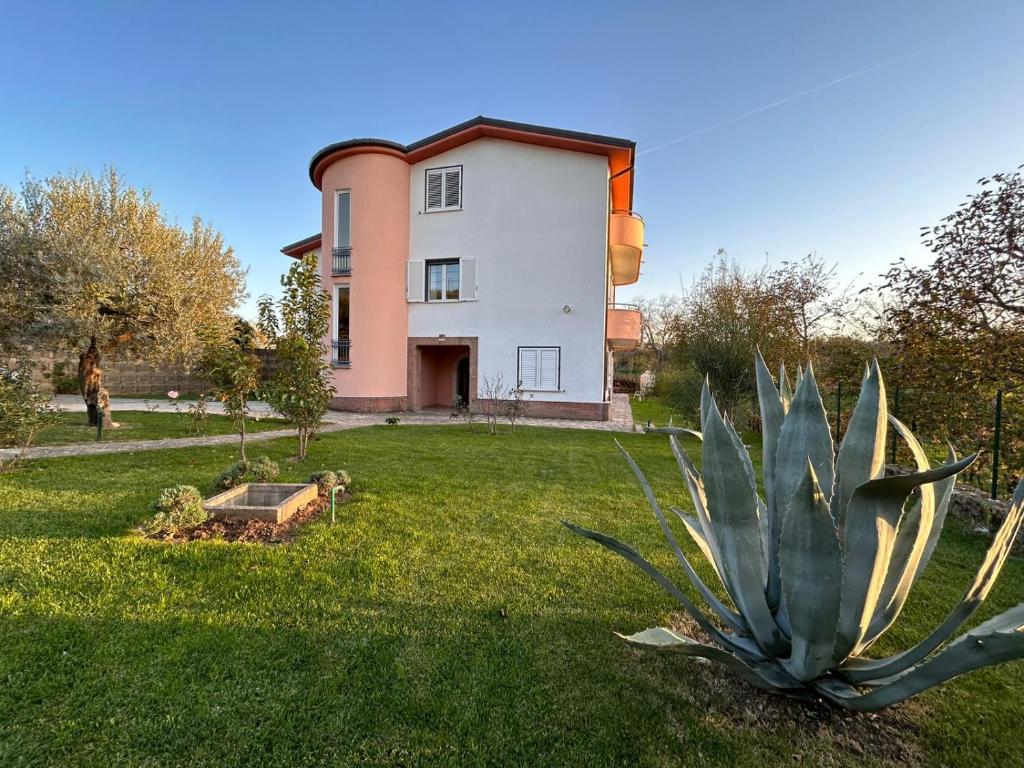 a large plant in front of a house at Casa Giò in Ariano Irpino