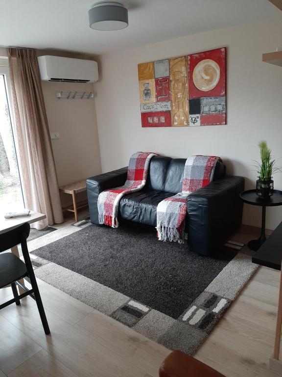een woonkamer met een zwarte leren bank en een tapijt bij Appartement Oase in Klimmen