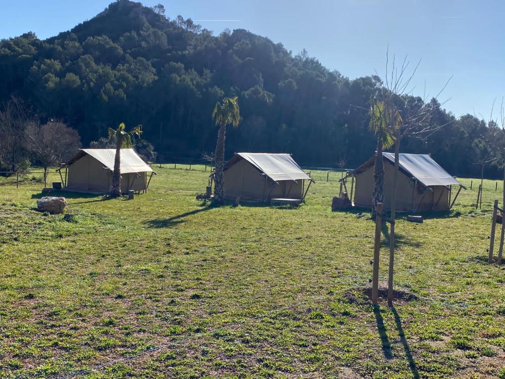 Příroda nedaleko luxury tent