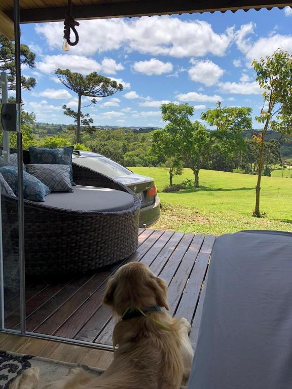 Hotel e Motel Colombo