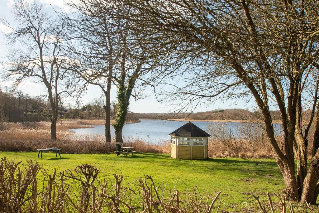 a small cabin in the grass next to a lake at Guesthouse on the Danish German border in Kruså