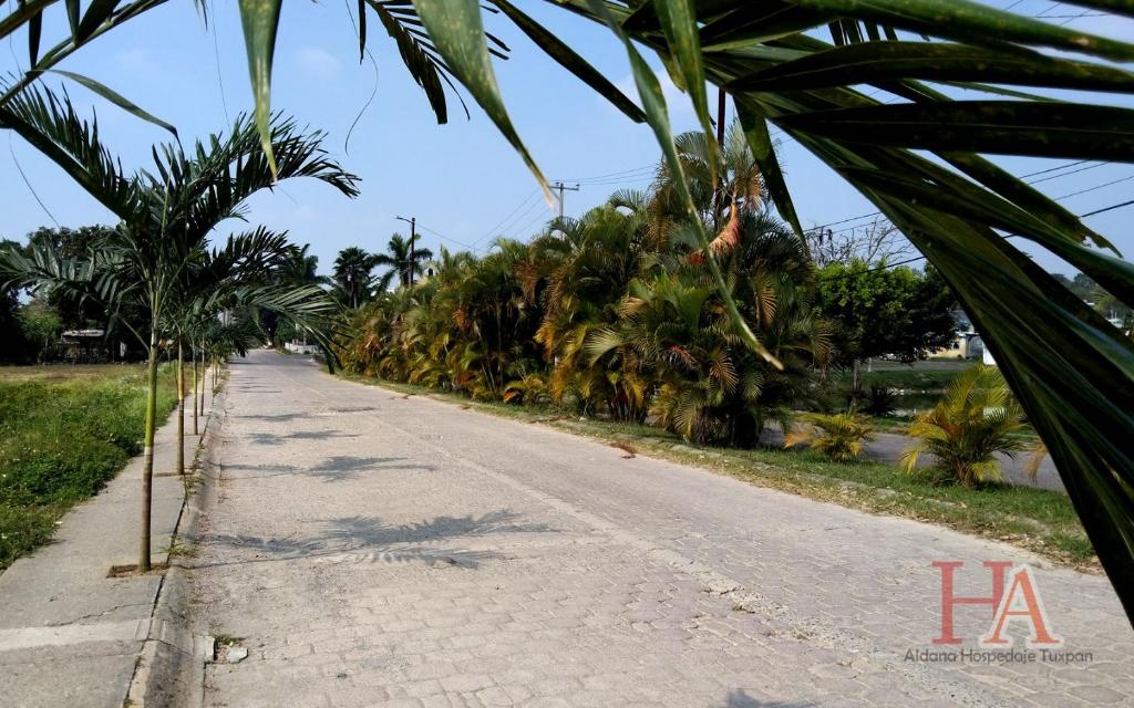 Fotografie z fotogalerie ubytování Hospedaje Aldana - Casa LA VISTA en zona verde v destinaci Tuxpan de Rodríguez Cano