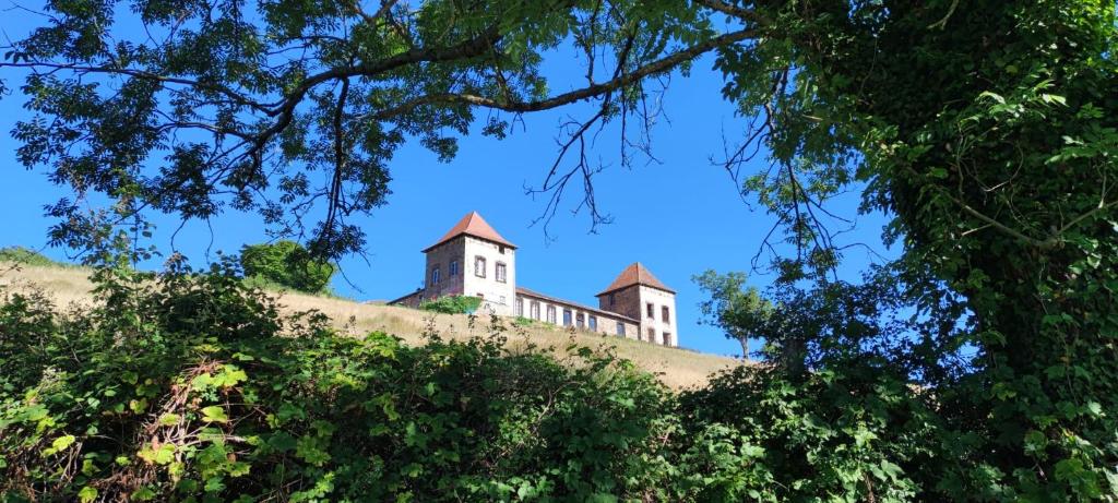 een gebouw bovenop een heuvel met bomen bij Château de Gorze in Germolles-sur-Grosne