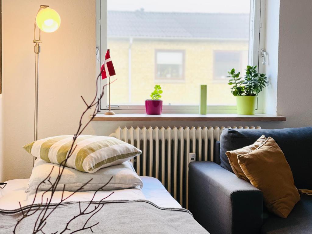 ein Wohnzimmer mit einem Sofa und einem Fenster in der Unterkunft Randers residence Sankt Andreas - 2 room apartment in Randers