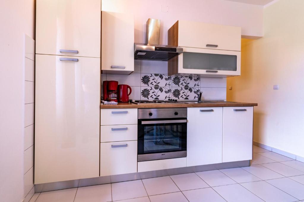Кухня или мини-кухня в Apartments Stare Brajde
