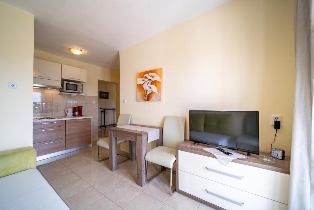 Кухня или мини-кухня в Apartments Stare Brajde
