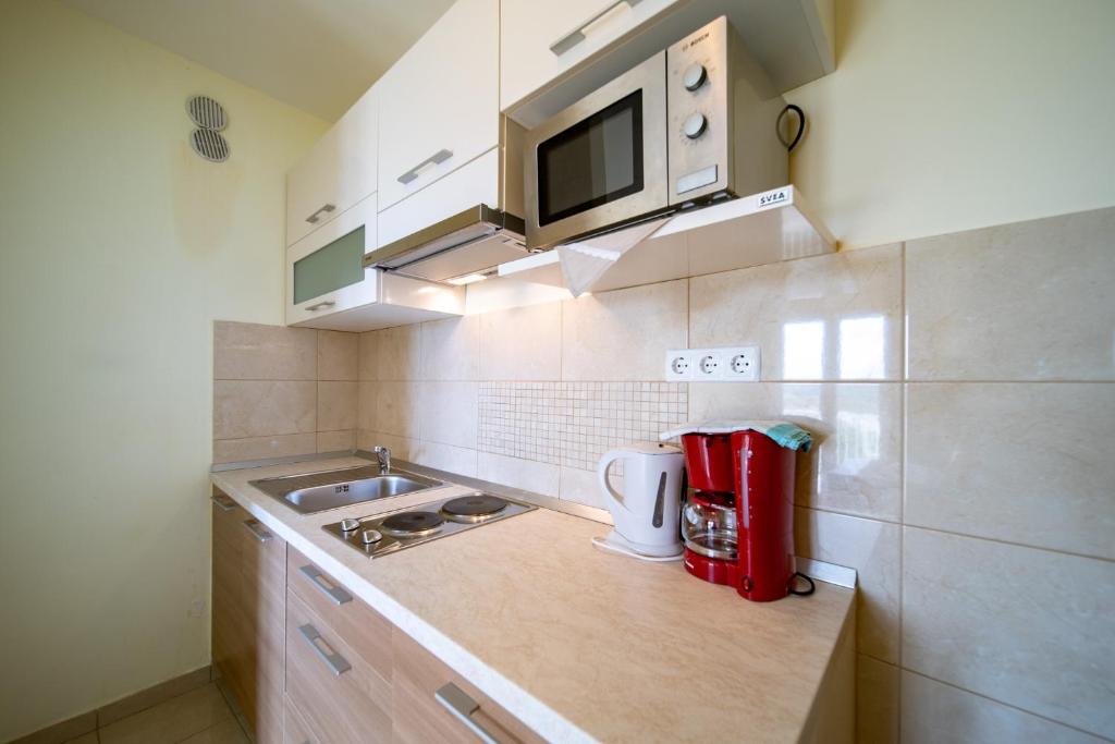 Кухня или мини-кухня в Apartments Stare Brajde
