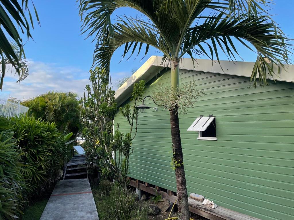 a green building with a palm tree in front of it at Charmant bungalow avec petite piscine privée in Rivière-Salée