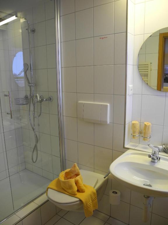 Koupelna v ubytování Landgasthaus Bären