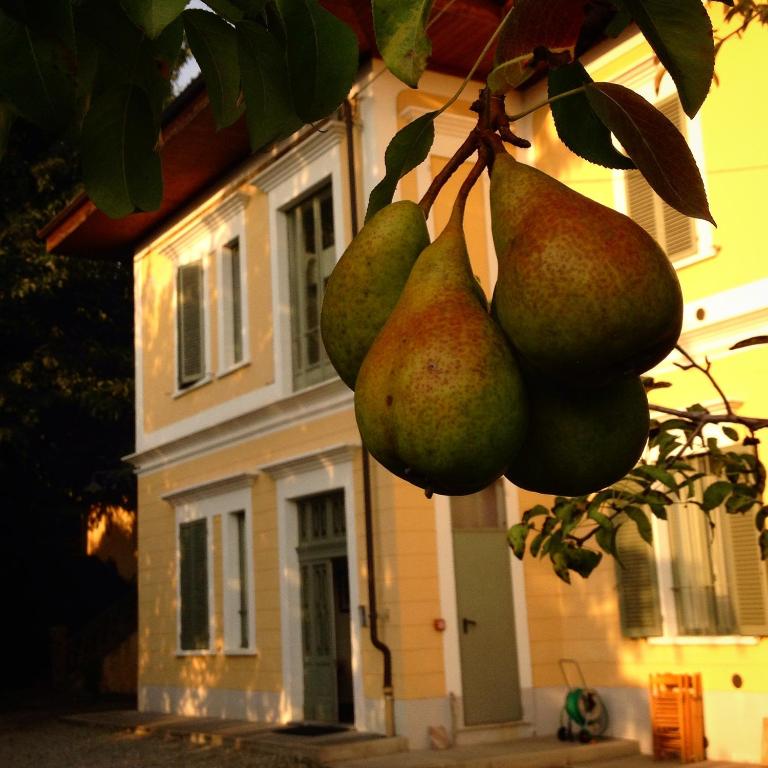 Budova, v ktorej sa apartmánový hotel nachádza