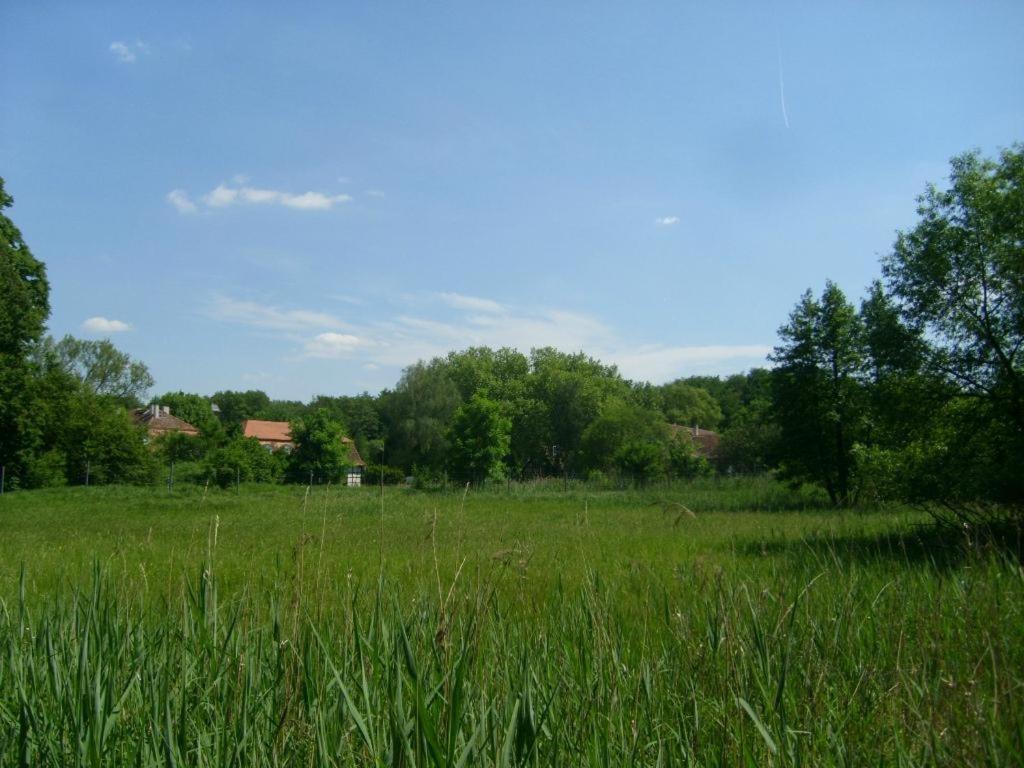 Příroda nedaleko hotelu