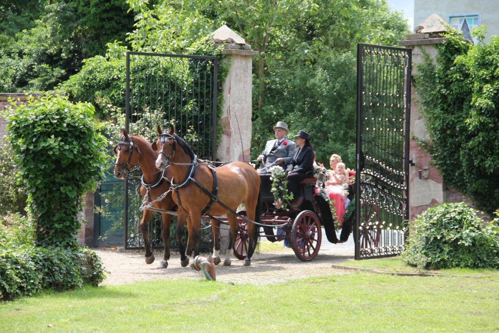 Hosté ubytování Jagdschloss Mönchbruch