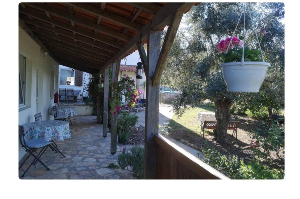 a porch with a potted plant hanging from a house at Casa da Paz-Martinchel in Casal do Rei