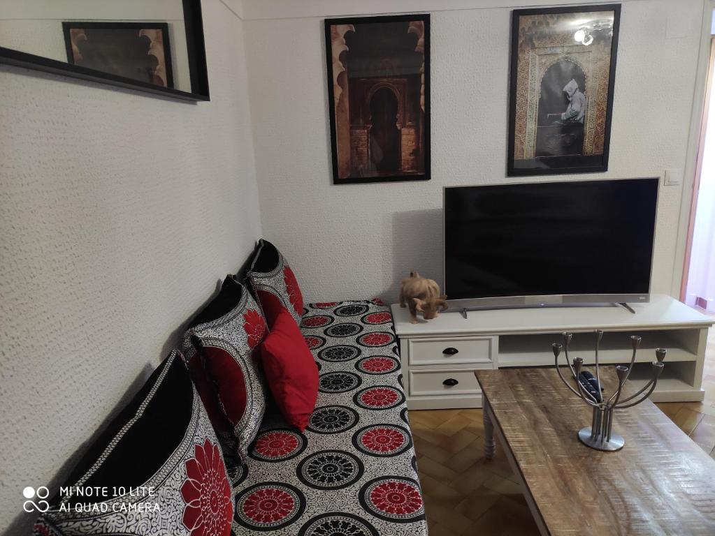 Televízia a/alebo spoločenská miestnosť v ubytovaní Maison en rez-de chaussée près du centre ville d'Arles