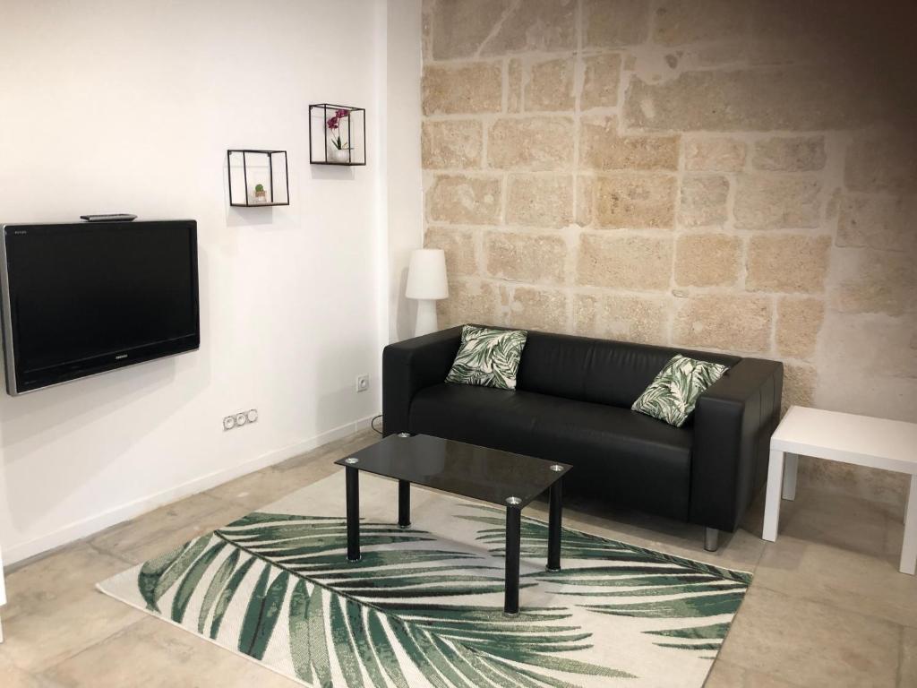 un salon avec un canapé noir et une télévision dans l'établissement Appartement au calme plein centre historique, à Montpellier