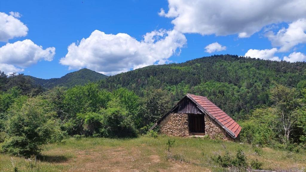 Příroda nedaleko apartmánu
